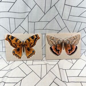 Vintage Butterfly Moth Linen Canvas Wall Art Set Vanessa Polychloros Catocala 3D